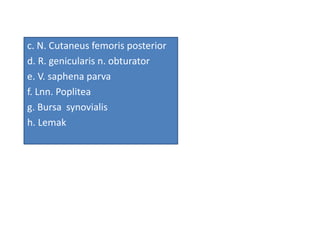c. N. Cutaneus femoris posterior
d. R. genicularis n. obturator
e. V. saphena parva
f. Lnn. Poplitea
g. Bursa synovialis
h. Lemak
 