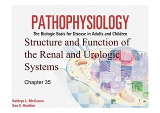 Structure and Function of
the Renal and Urologic
Systems
Chapter 35


                            1
 