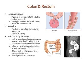 Colon Intesseption USMLE step 1 Review Anatomy of Gastrointestinal System 2018 | PDF