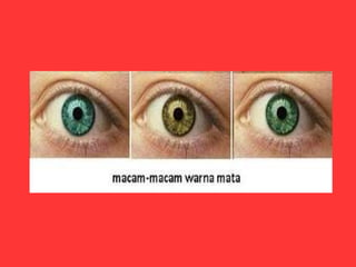 Review anfis mata 1 