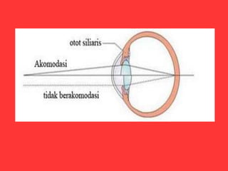 Review anfis mata 1 