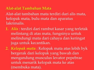 Alat-alat Tambahan Mata
Alat-alat tambahan mata terdiri dari alis mata,
kelopak mata, bulu mata dan aparatus
lakrimalis.
1. Alis : terdiri dari rambut kasar yang terletak
melintang di atas mata, fungsinya untuk
melindungi mata dari cahaya dan keringat
juga untuk kecantikan.
2. Kelopak mata : Kelopak mata atas lebih byk
bergerak dari kelopak yang bawah dan
mengandung musculus levator pepebrae
untuk menarik kelopak mata ke atas
(membuka mata).
 