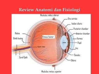 Review Anatomi dan Fisiologi
 