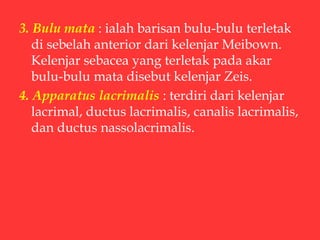 3. Bulu mata : ialah barisan bulu-bulu terletak
di sebelah anterior dari kelenjar Meibown.
Kelenjar sebacea yang terletak pada akar
bulu-bulu mata disebut kelenjar Zeis.
4. Apparatus lacrimalis : terdiri dari kelenjar
lacrimal, ductus lacrimalis, canalis lacrimalis,
dan ductus nassolacrimalis.
 