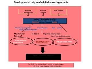 Maternal
malnutrition
FETAL UNDERNUTRITION
(Nutrient demand exceeds supply)
HYPERLIPIDAEMIA
HYPERTENSION CENTRAL OBESITY INSULIN RESISTANCE
Type 2 Diabetes and CHD
Muscle mass Cortisol  Impaired development
Fat mass  (Liver, Pancreas, Blood vessels)
Placental
transfer
Fetal genome
Altered body composition Early maturation Brain sparing
Down regulation of growth
Fall CHD. The fetal and early origins of adult disease.
Review. Indian Pediatr 2003; 40:480-502
Developmental origins of adult disease: hypothesis
 