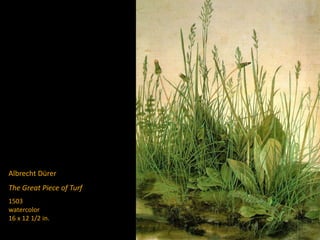 Albrecht Dürer
The Great Piece of Turf
1503
watercolor
16 x 12 1/2 in.
 