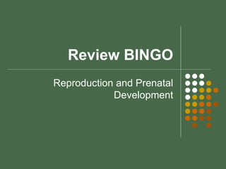 Review BINGO Reproduction and Prenatal Development 