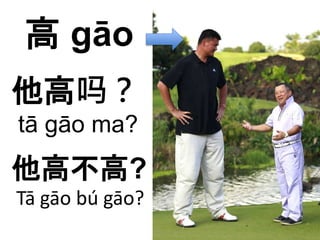 高gāo 
他高吗？ 
tā gāo ma? 
他高不高? 
Tā gāo bú gāo? 
 