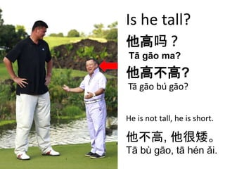Is he tall? 
他高吗？ 
Tā gāo ma? 
他高不高? 
Tā gāo bú gāo? 
He is not tall, he is short. 
他不高, 他很矮。 
Tā bù gāo, tā hén ǎi. 
 