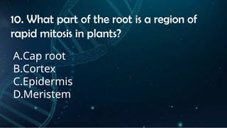 INSTRUCTIONS
• THE TEACHER WILL ASK STUDENTS RANDOMLY ABOUT
THE 4TH
QUARTER TOPICS.
FIRST ANSWER – 100%
SECOND ANSWER – 95%
THIRD ANSWER - 90%
FOURTH ANSWER - 80%
10. What part of the root is a region of
rapid mitosis in plants?
A.Cap root
B.Cortex
C.Epidermis
D.Meristem
 