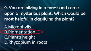 INSTRUCTIONS
• THE TEACHER WILL ASK STUDENTS RANDOMLY ABOUT
THE 4TH
QUARTER TOPICS.
FIRST ANSWER – 100%
SECOND ANSWER – 95%
THIRD ANSWER - 90%
FOURTH ANSWER - 80%
9. You are hiking in a forest and come
upon a mysterious plant. Which would be
most helpful in classifying the plant?
A.Microphylls
B.Pigmentation
C.Plant’s height
D.Rhyzobium in roots
 