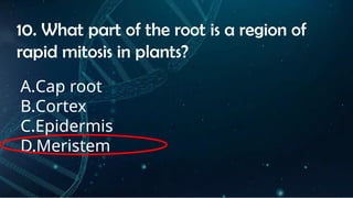 INSTRUCTIONS
• THE TEACHER WILL ASK STUDENTS RANDOMLY ABOUT
THE 4TH
QUARTER TOPICS.
FIRST ANSWER – 100%
SECOND ANSWER – 95%
THIRD ANSWER - 90%
FOURTH ANSWER - 80%
10. What part of the root is a region of
rapid mitosis in plants?
A.Cap root
B.Cortex
C.Epidermis
D.Meristem
 
