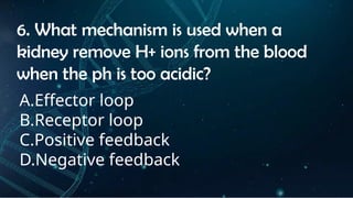 INSTRUCTIONS
• THE TEACHER WILL ASK STUDENTS RANDOMLY ABOUT
THE 4TH
QUARTER TOPICS.
FIRST ANSWER – 100%
SECOND ANSWER – 95%
THIRD ANSWER - 90%
FOURTH ANSWER - 80%
6. What mechanism is used when a
kidney remove H+ ions from the blood
when the ph is too acidic?
A.Effector loop
B.Receptor loop
C.Positive feedback
D.Negative feedback
 