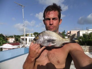 Agrupar
    AR           ER           IR



o         e              es        amos

     as       emos       en
                     a             an
 