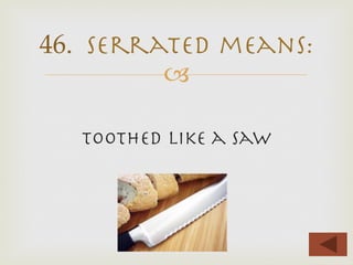 –


Toothed like a saw
46. Serrated means:
 
