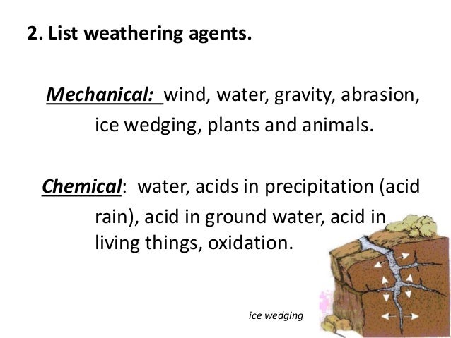 does affect electricity plants how Review Factors for Test: Environment 4 Unit the Impacting does affect electricity plants how Review Factors for Test: Environment 4 Unit the Impacting