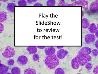 Play the
SlideShow
to review
for the test!
 