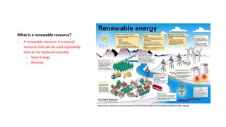 Review human impact on the earth | PPTX