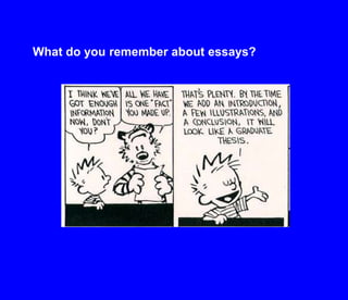 What do you remember about essays?
 