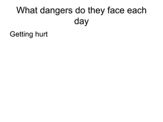 What dangers do they face each day Getting hurt 