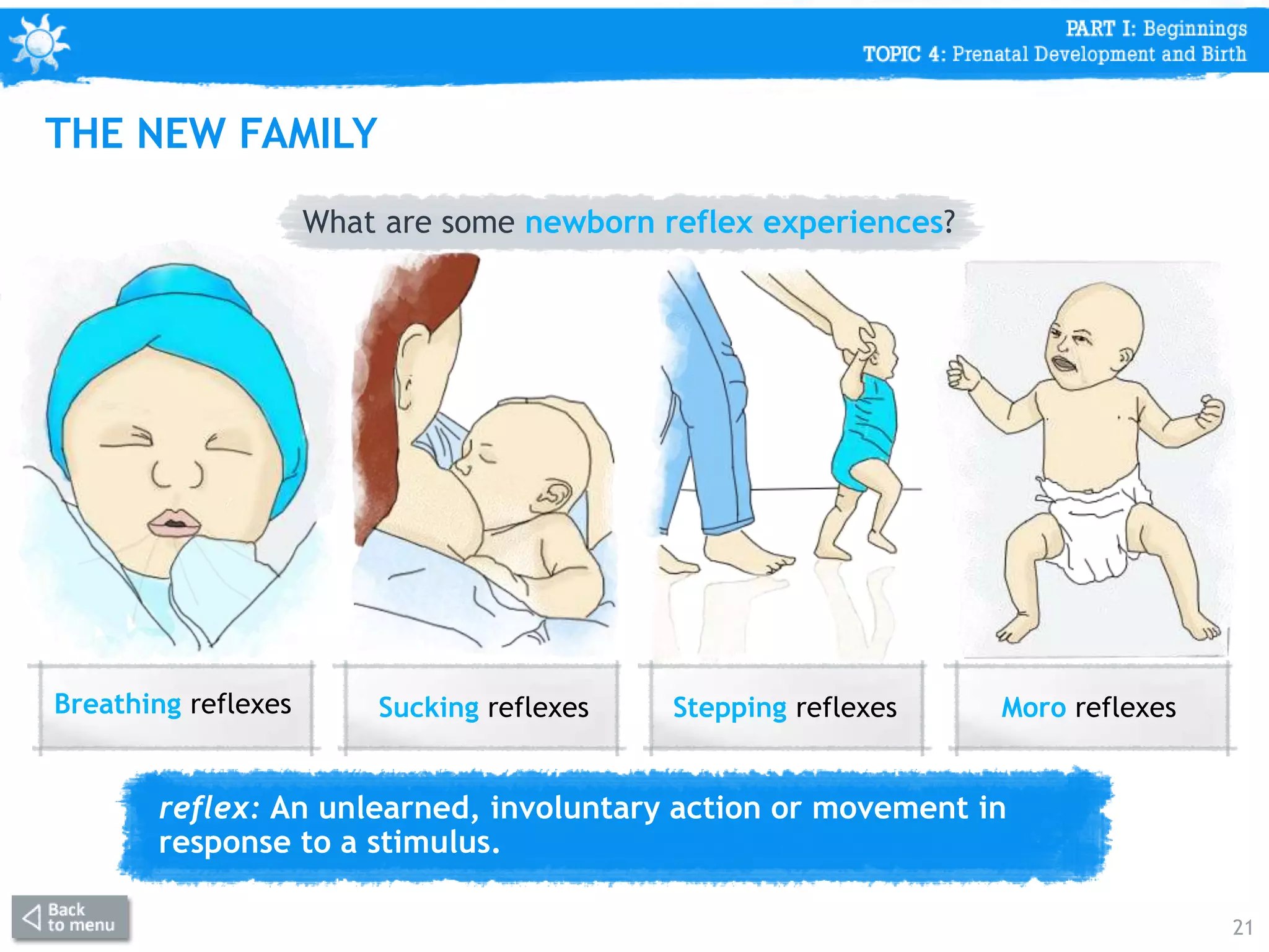 reflex: An unlearned, involuntary action or movement in
response to a stimulus.
What are some newborn reflex experiences?
21
Breathing reflexes Sucking reflexes Stepping reflexes Moro reflexes
THE NEW FAMILY
 