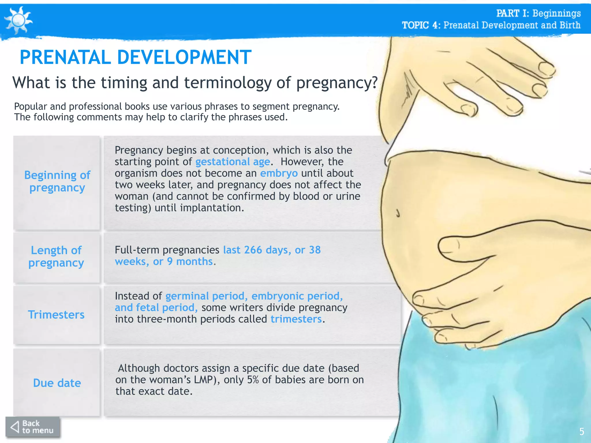 Beginning of
pregnancy
Pregnancy begins at conception, which is also the
starting point of gestational age. However, the
organism does not become an embryo until about
two weeks later, and pregnancy does not affect the
woman (and cannot be confirmed by blood or urine
testing) until implantation.
Length of
pregnancy
Full-term pregnancies last 266 days, or 38
weeks, or 9 months.
Trimesters
Instead of germinal period, embryonic period,
and fetal period, some writers divide pregnancy
into three-month periods called trimesters.
Due date
Although doctors assign a specific due date (based
on the woman’s LMP), only 5% of babies are born on
that exact date.
What is the timing and terminology of pregnancy?
Popular and professional books use various phrases to segment pregnancy.
The following comments may help to clarify the phrases used.
5
PRENATAL DEVELOPMENT
 