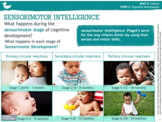 Review lecture 6 chapter 6 PPT