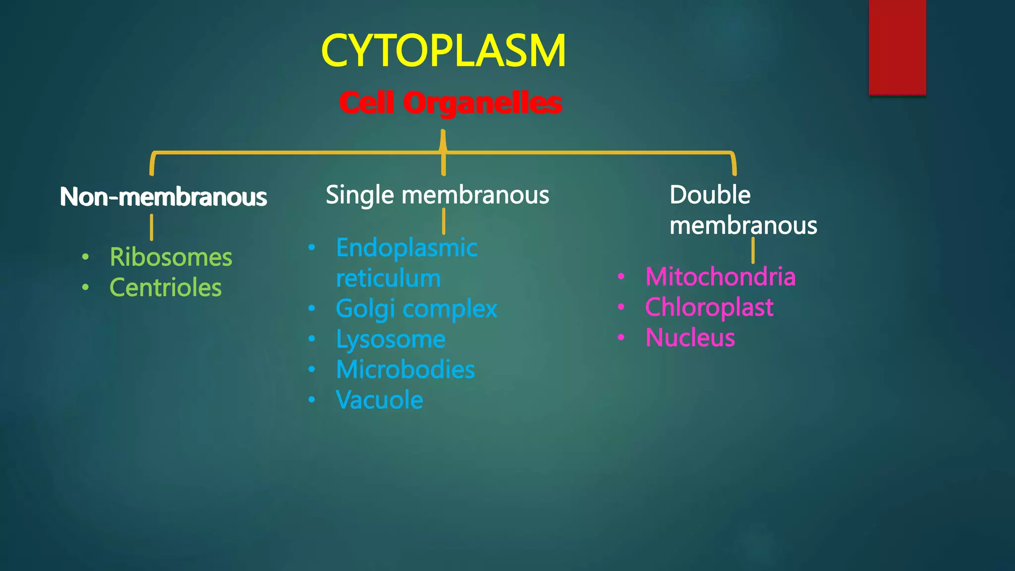 CYTOPLASM
Cell Organelles
Non-membranous Double
membranous
Single membranous
• Ribosomes
• Centrioles
• Endoplasmic
reticulum
• Golgi complex
• Lysosome
• Microbodies
• Vacuole
• Mitochondria
• Chloroplast
• Nucleus
Cell Organelles
Non-membranous
 