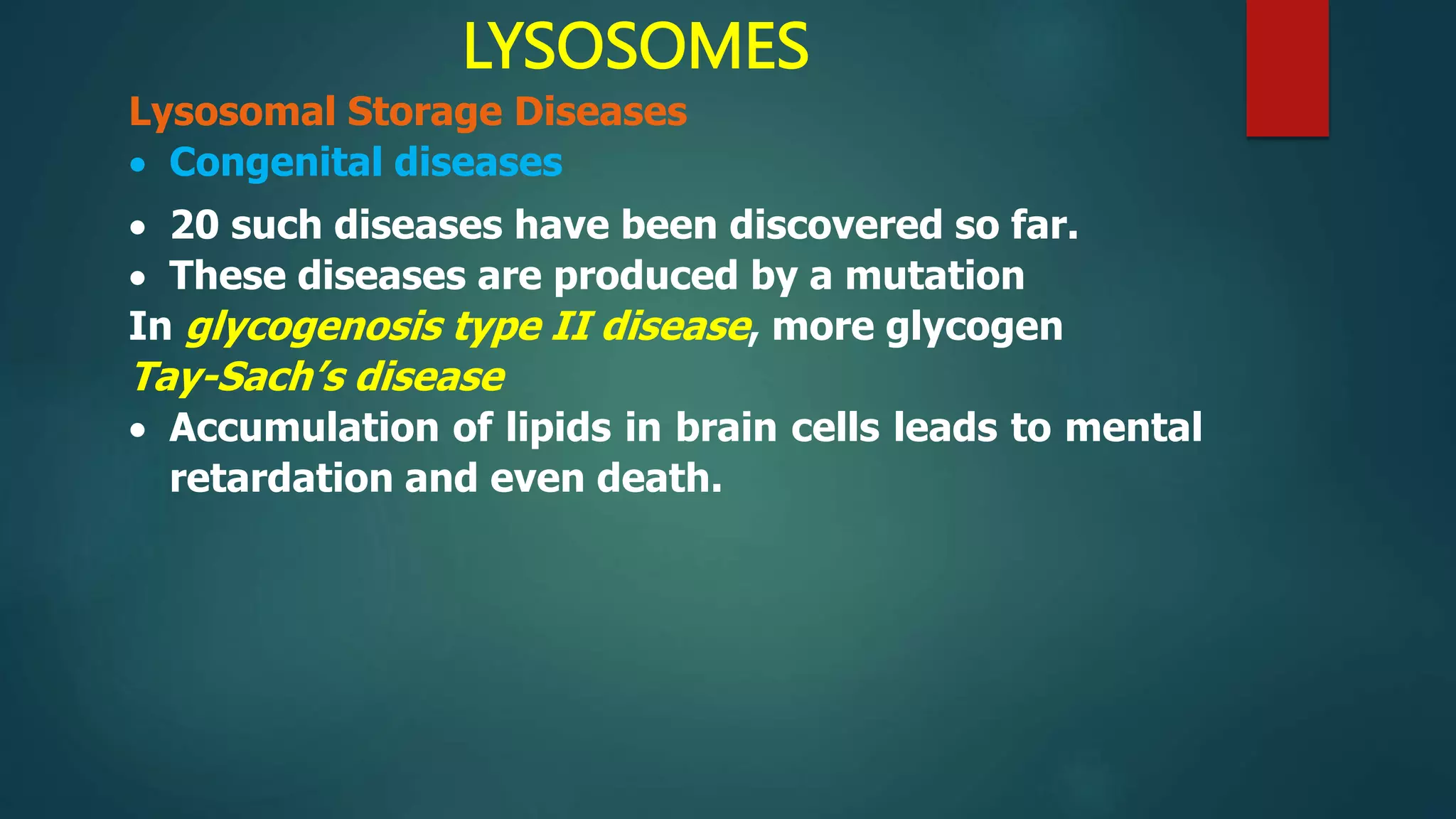 LYSOSOMES
Lysosomal Storage Diseases
 Congenital diseases
 20 such diseases have been discovered so far.
 These diseases are produced by a mutation
In glycogenosis type II disease, more glycogen
Tay-Sach’s disease
 Accumulation of lipids in brain cells leads to mental
retardation and even death.
 