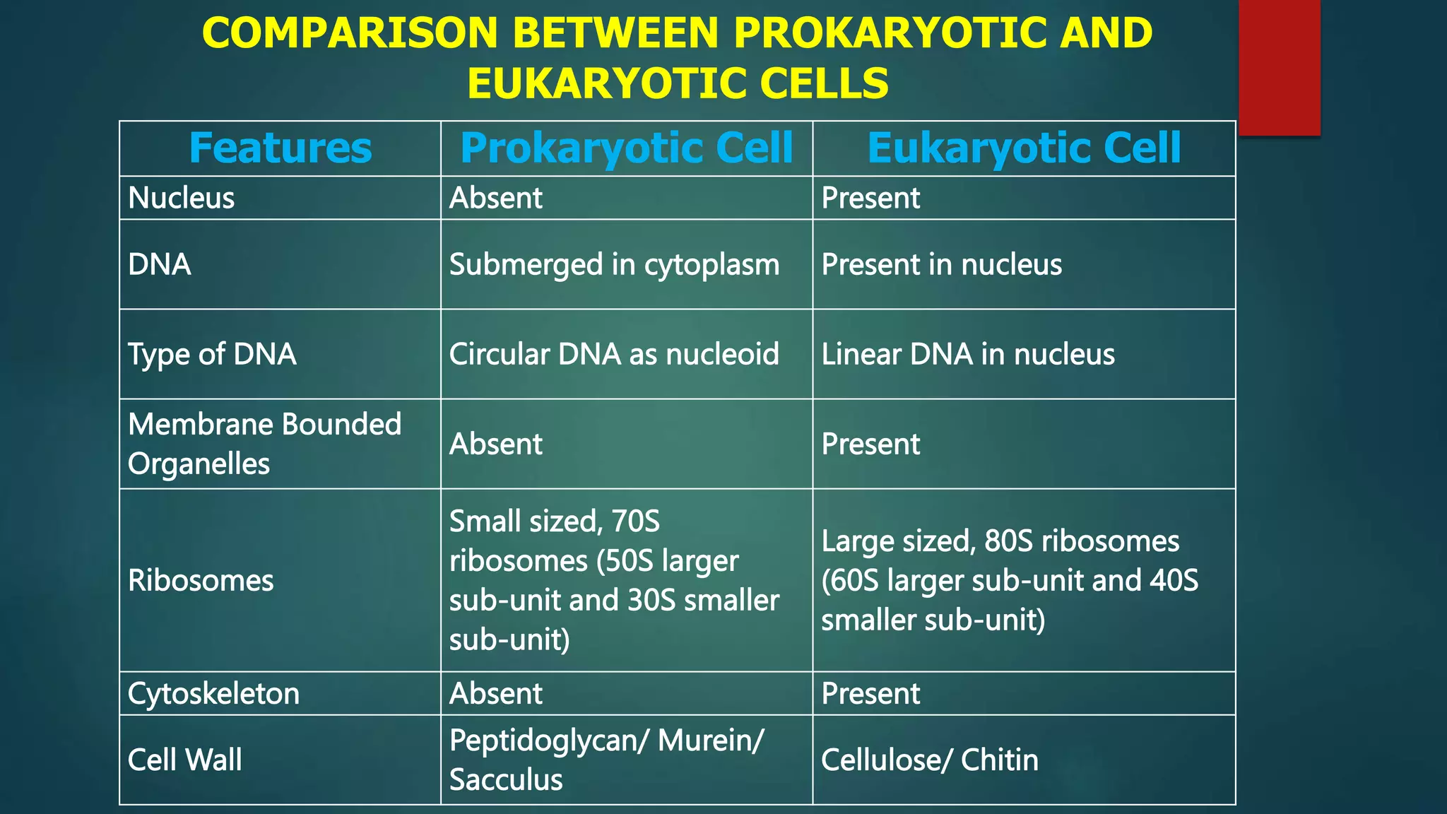 COMPARISON BETWEEN PROKARYOTIC AND
EUKARYOTIC CELLS
Features Prokaryotic Cell Eukaryotic Cell
Nucleus Absent Present
DNA Submerged in cytoplasm Present in nucleus
Type of DNA Circular DNA as nucleoid Linear DNA in nucleus
Membrane Bounded
Organelles
Absent Present
Ribosomes
Small sized, 70S
ribosomes (50S larger
sub-unit and 30S smaller
sub-unit)
Large sized, 80S ribosomes
(60S larger sub-unit and 40S
smaller sub-unit)
Cytoskeleton Absent Present
Cell Wall
Peptidoglycan/ Murein/
Sacculus
Cellulose/ Chitin
 