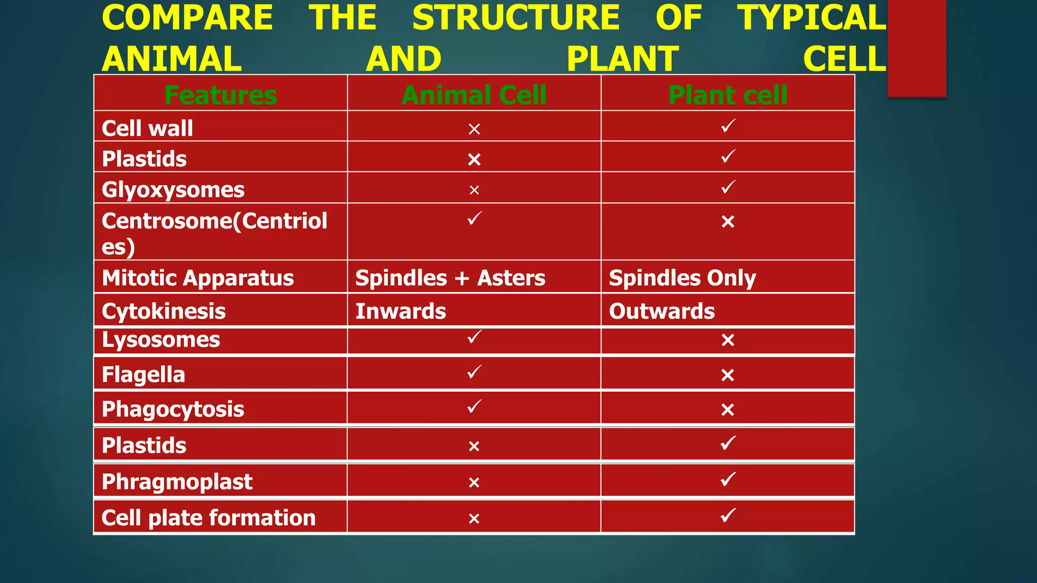 COMPARE THE STRUCTURE OF TYPICAL
ANIMAL AND PLANT CELL
Features Animal Cell Plant cell
Cell wall × 
Plastids × 
Glyoxysomes × 
Centrosome(Centriol
es)
 ×
Lysosomes  ×
Flagella  ×
Phagocytosis  ×
Mitotic Apparatus Spindles + Asters Spindles Only
Cytokinesis Inwards Outwards
Phragmoplast × 
Cell plate formation × 
Plastids × 
 
