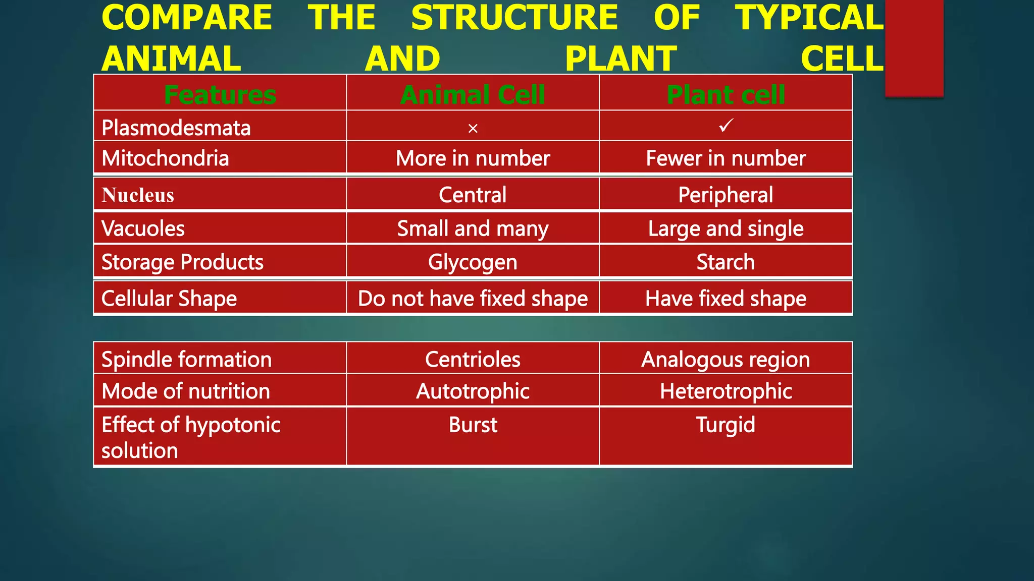 COMPARE THE STRUCTURE OF TYPICAL
ANIMAL AND PLANT CELL
Features Animal Cell Plant cell
Plasmodesmata × 
Mitochondria More in number Fewer in number
Vacuoles Small and many Large and single
Storage Products Glycogen Starch
Cellular Shape Do not have fixed shape Have fixed shape
Nucleus Central Peripheral
Spindle formation Centrioles Analogous region
Mode of nutrition Autotrophic Heterotrophic
Effect of hypotonic
solution
Burst Turgid
 