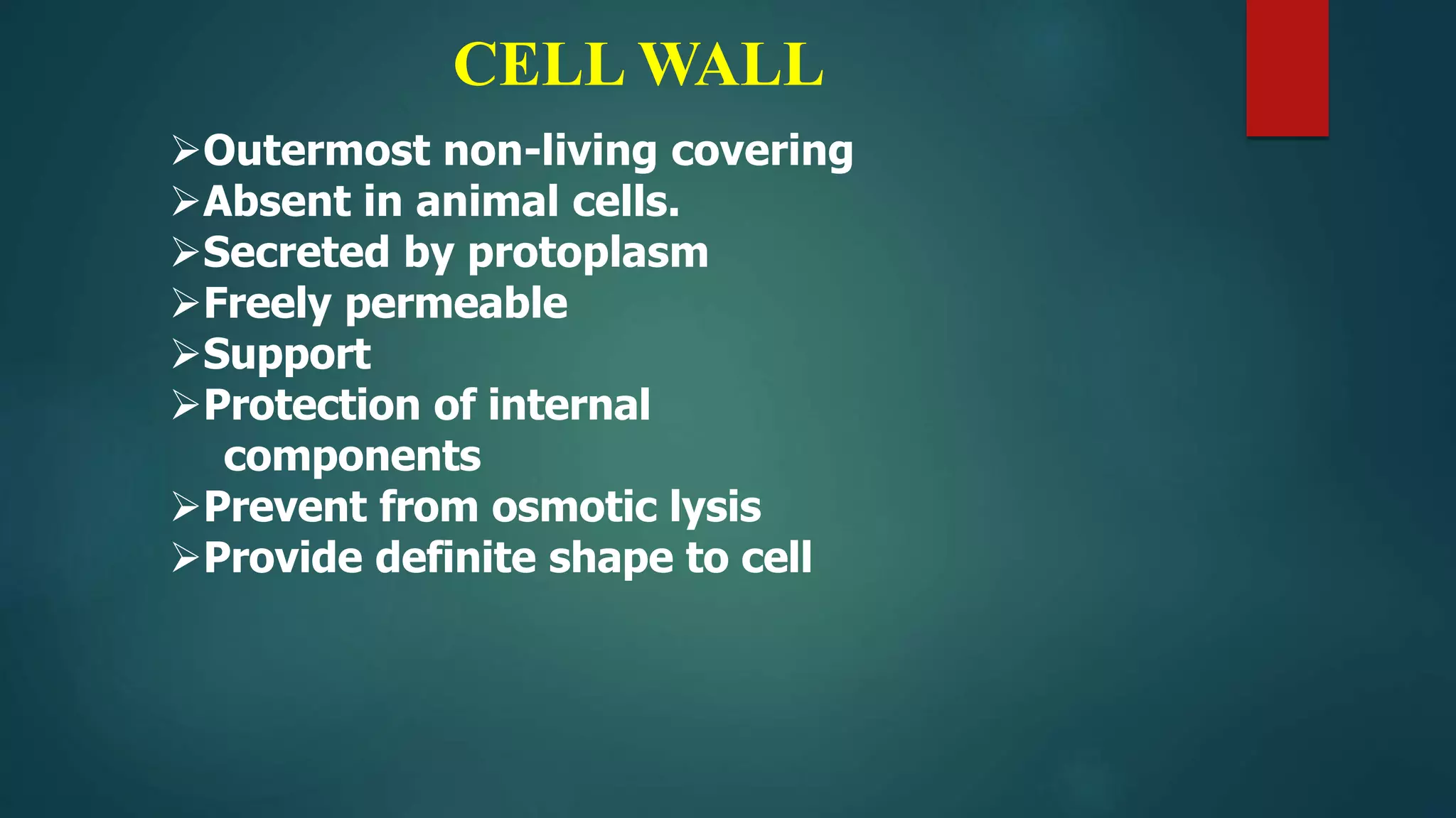 CELL WALL
Outermost non-living covering
Absent in animal cells.
Secreted by protoplasm
Freely permeable
Support
Protection of internal
components
Prevent from osmotic lysis
Provide definite shape to cell
 