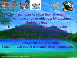 1. ___rub noses to show their affection.
 2. ___warn one another ofdanger by touching 
                  their hind legs.
    3.___dance to direct others to the nectar
    4.___greet each other by touching hands
         5.___bark when they hear noise.
6.___show affection by entwinning their trunks.
          7.___sing when they are happy.
8.Most___use sound and smell to communicate.

                         
 