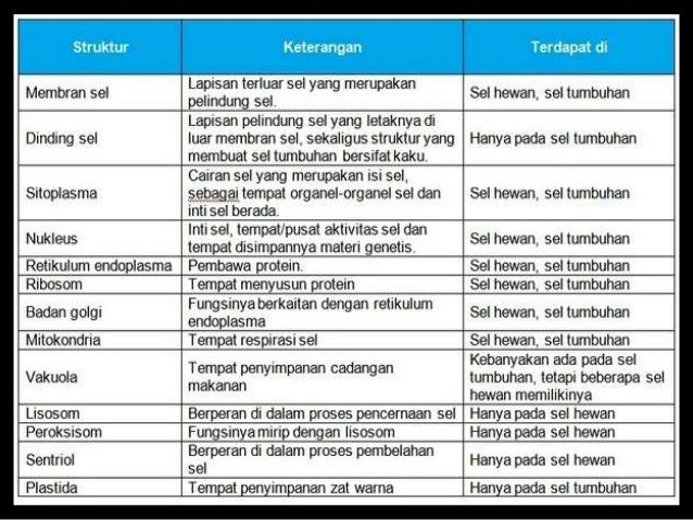 Review materi skl un 2016