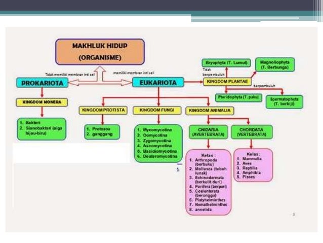 Review materi un makhluk hidup dan lingkungan