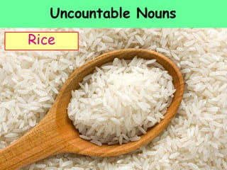 Uncountable Nouns
Milk
Rice
 