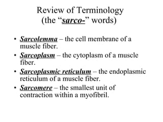 Review of Terminology (the “ sarco- ” words)  ,[object Object],[object Object],[object Object],[object Object]