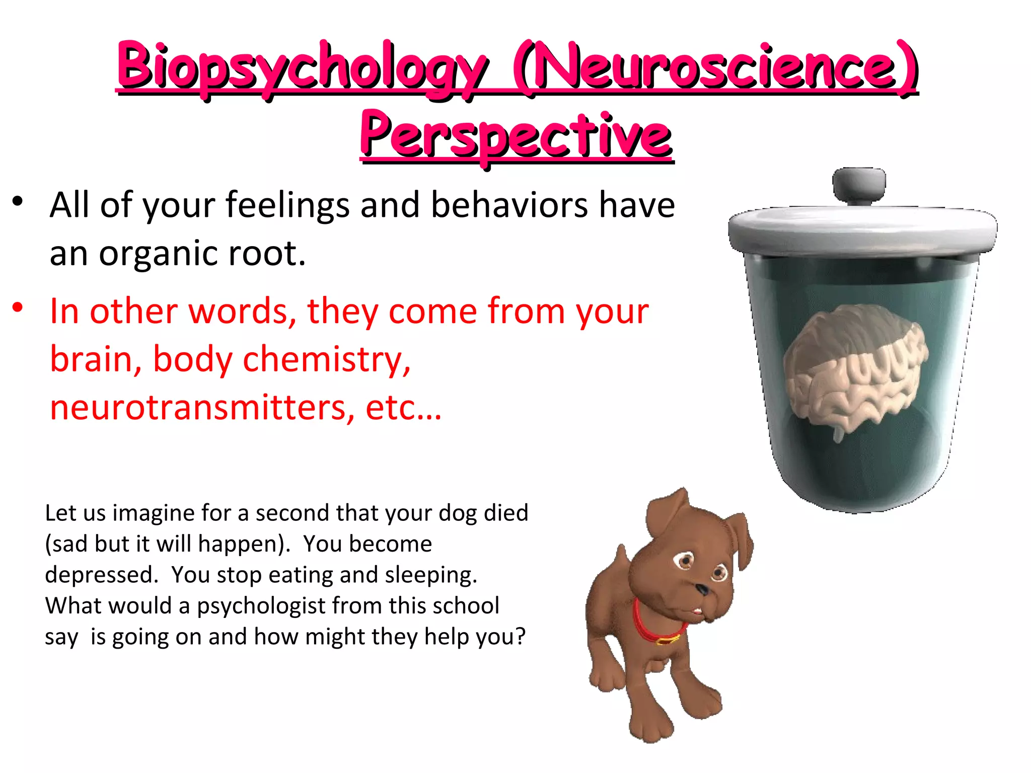 Biopsychology (Neuroscience)Biopsychology (Neuroscience)
PerspectivePerspective
• All of your feelings and behaviors have
an organic root.
• In other words, they come from your
brain, body chemistry,
neurotransmitters, etc…
Let us imagine for a second that your dog died
(sad but it will happen). You become
depressed. You stop eating and sleeping.
What would a psychologist from this school
say is going on and how might they help you?
 