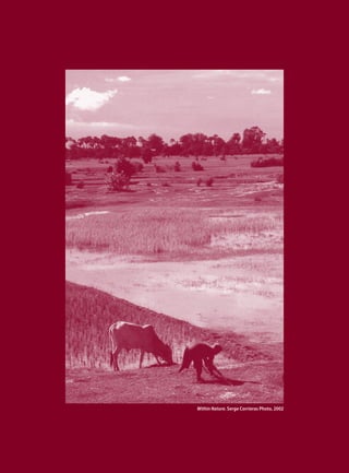 Within Nature. Serge Corrieras Photo, 2002
 