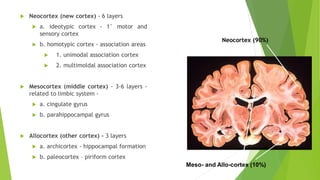 REVIEW OF NEURO ANATOMY AND PHYSIOLOGY (1).pdf