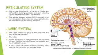 REVIEW OF NEURO ANATOMY AND PHYSIOLOGY (1).pdf