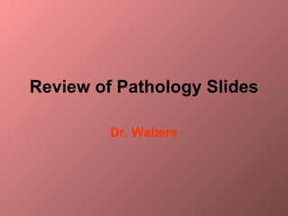 Review of Pathology Slides

         Dr. Walters
 