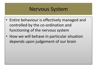 Review of personality development | PDF