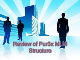 Review of Pur3x MLM Structure 