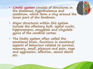 • Limbic system consists of structures in
the thalamus, hypothalamus and
cerebrum, which form a ring around the
lower part of the forebrain.
• Major structures within this system
include the olfactory bulb, septal nuclei,
hippocampus, amygdala and cingulate
gyrus of the cerebral cortex.
• The limbic system often called the
emotional brain, functions in emotional
aspects of behaviour related to survival,
memory, smell, pleasure and pain, rage
and aggression, affection, sexual desire
etc.
 
