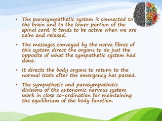 • The parasympathetic system is connected to
the brain and to the lower portion of the
spinal cord. It tends to be active when we are
calm and relaxed.
• The messages conveyed by the nerve fibres of
this system direct the organs to do just the
opposite of what the sympathetic system had
done.
• It directs the body organs to return to the
normal state after the emergency has passed.
• The sympathetic and parasympathetic
divisions of the autonomic nervous system
work in close co-ordination for maintaining
the equilibrium of the body function.
 