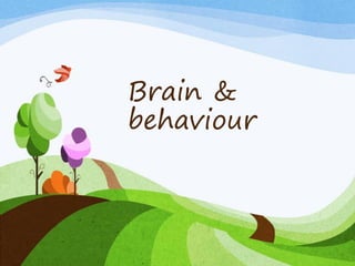 Brain &
behaviour
 