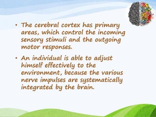 • The cerebral cortex has primary
areas, which control the incoming
sensory stimuli and the outgoing
motor responses.
• An individual is able to adjust
himself effectively to the
environment, because the various
nerve impulses are systematically
integrated by the brain.
 