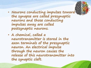 • Neurons conducting impulses toward
the synapse are called presynaptic
neurons and those conducting
impulses away are called
postsynaptic neurons.
• A chemical, called a
neurotransmitter is stored in the
axon terminals of the presynaptic
neuron. An electrical impulse
through the neuron causes the
release of this neurotransmitter into
the synaptic cleft.
 